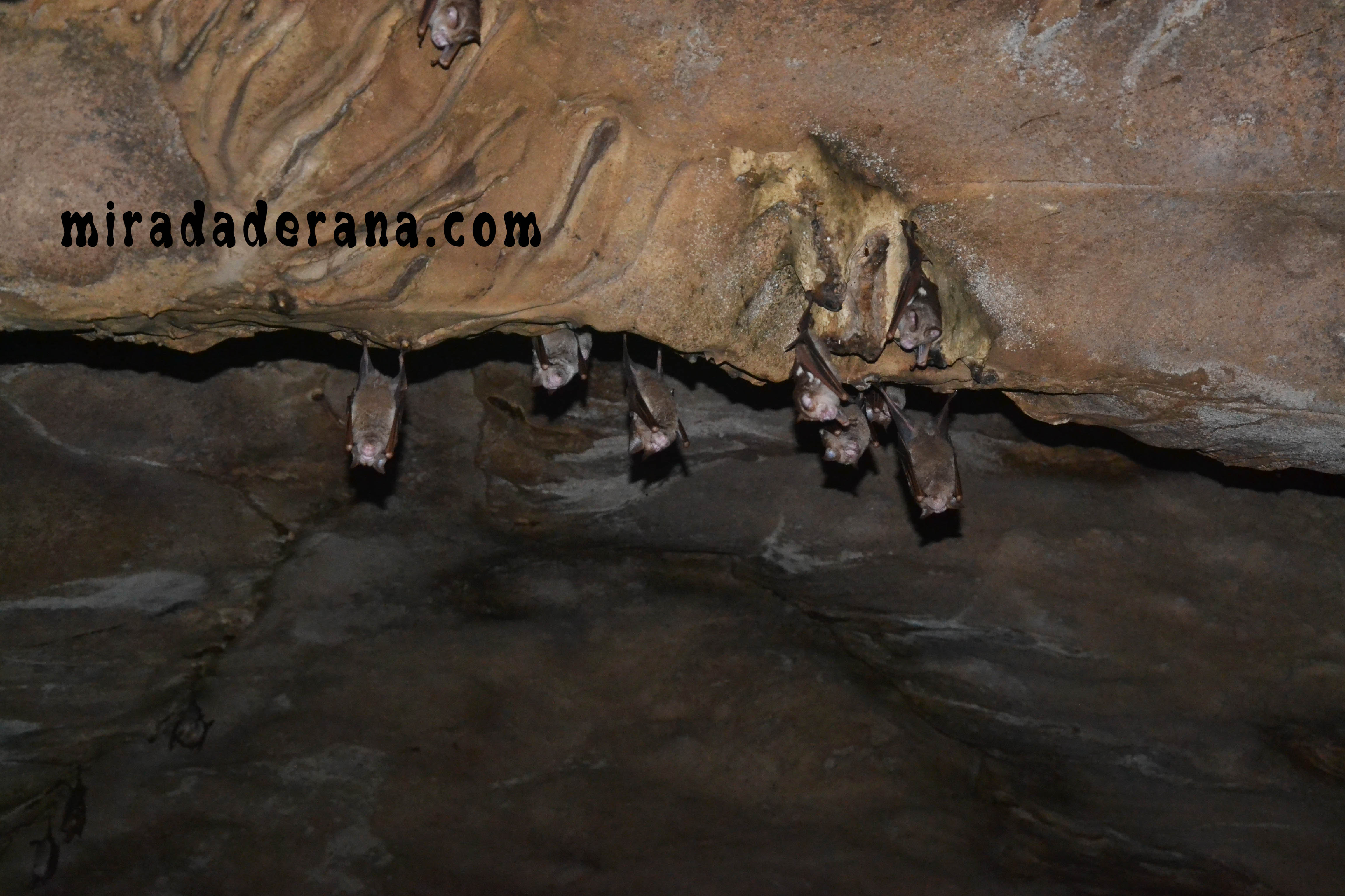 Bate Caves Bukit-Lawang
