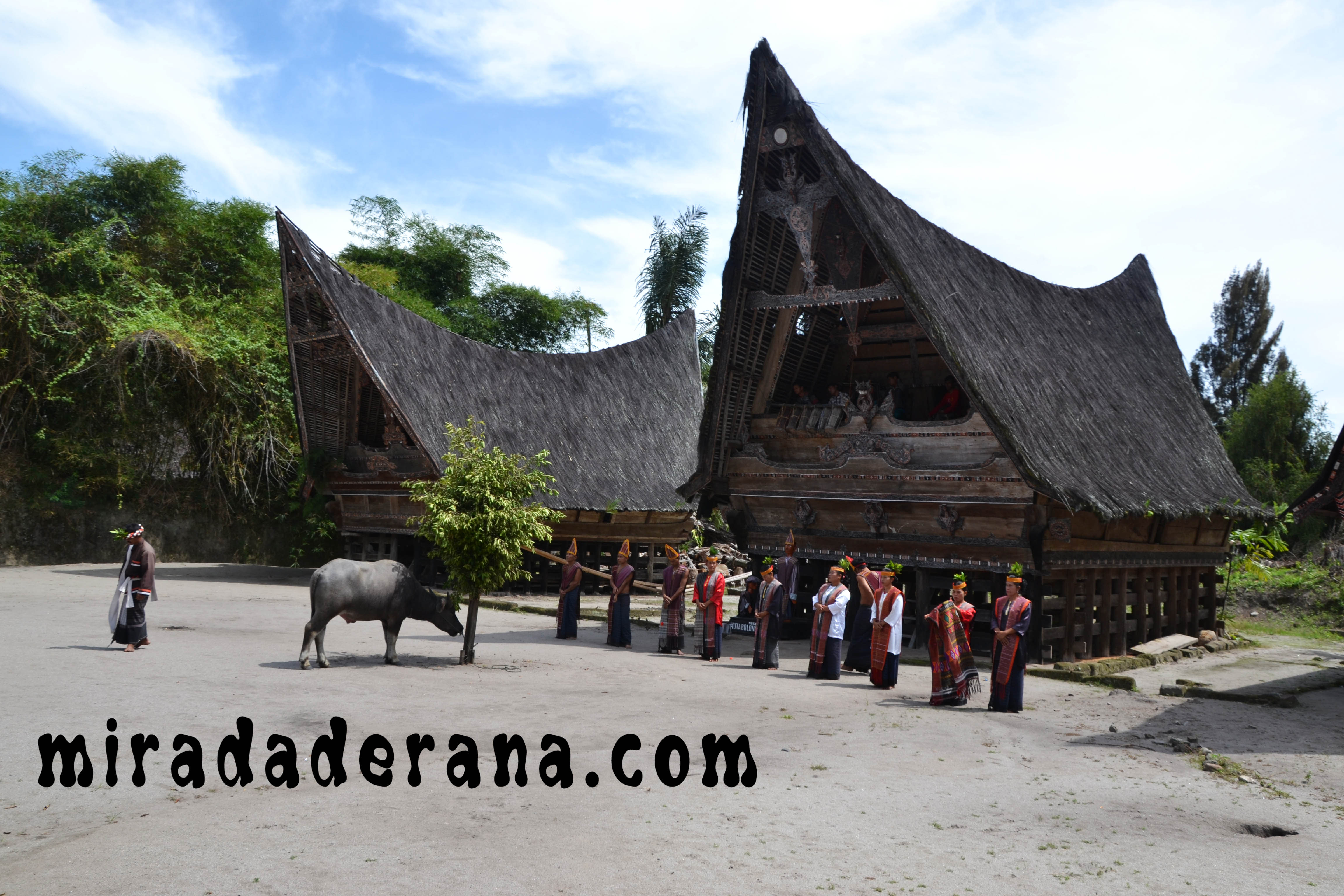 baile tradicional Batak en Simarindo lago-toba 