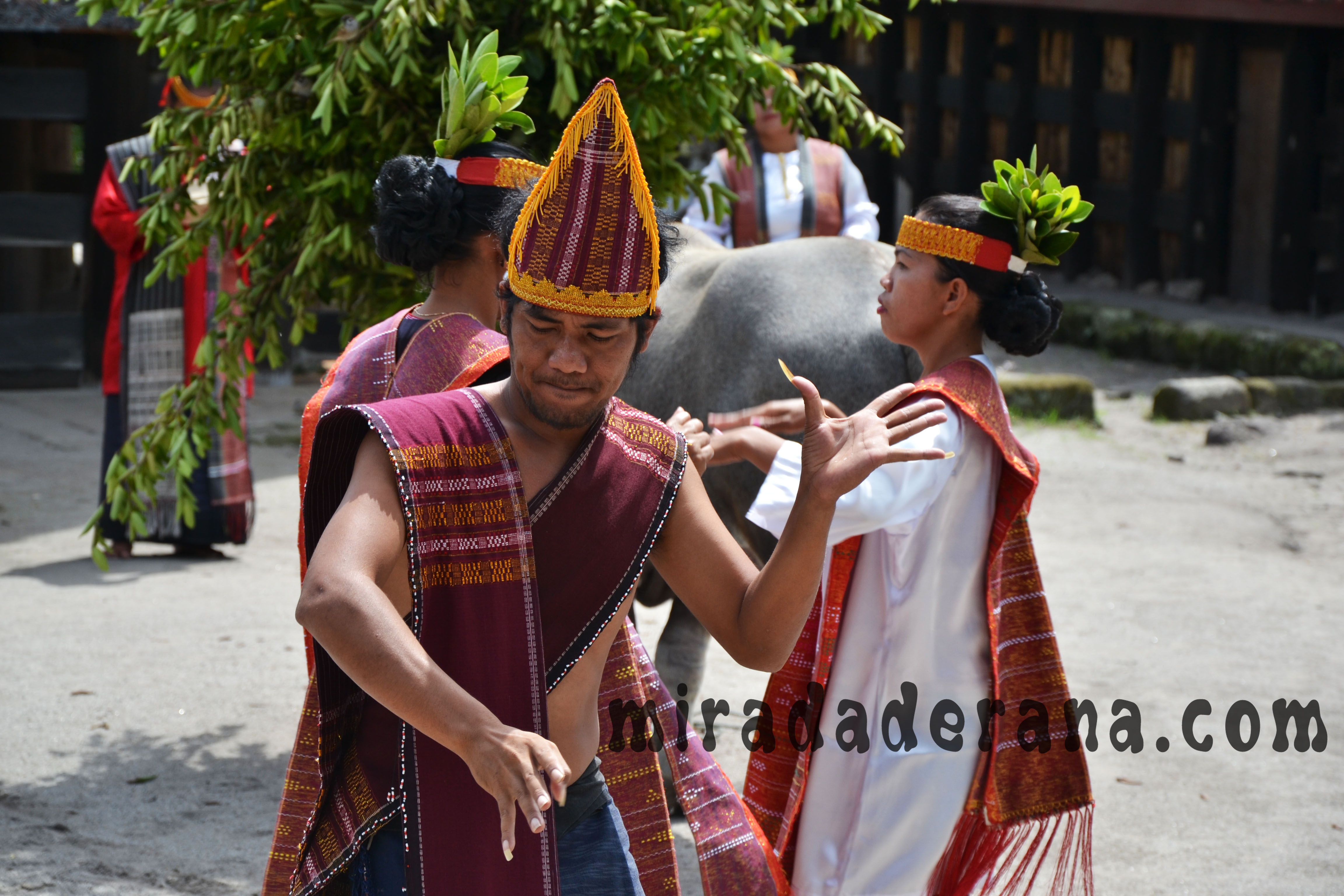 baile tradicional Batak en Simarindo lago-toba 